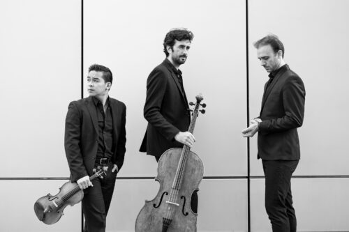 Trio Zadig