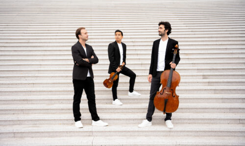 Trio Zadig